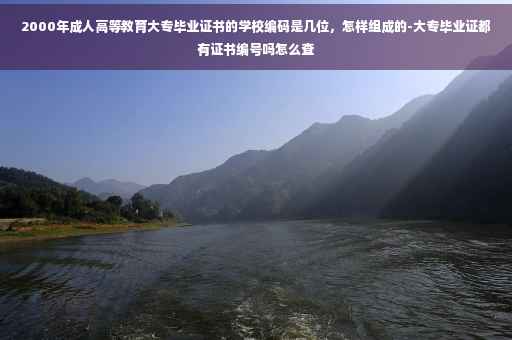 2000年成人高等教育大专毕业证书的学校编码是几位，怎样组成的-大专毕业证都有证书编号吗怎么查