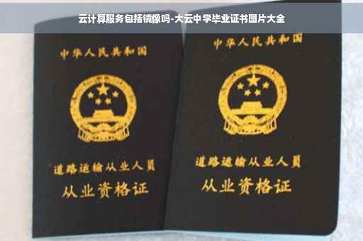 云计算服务包括镜像吗-大云中学毕业证书图片大全
