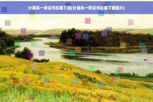 计算机一级证书在哪下载(计算机一级证书在哪下载图片)
