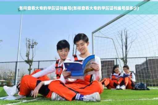 怎样查看大专的学历证书编号(怎样查看大专的学历证书编号是多少)