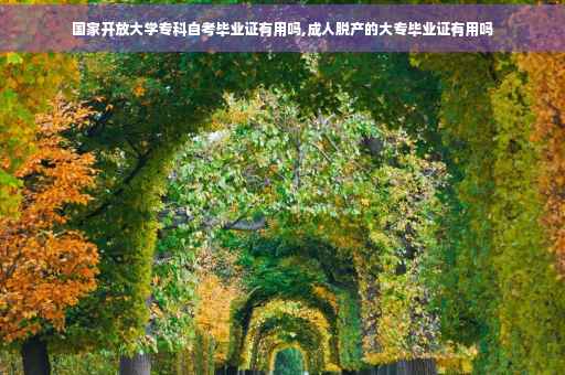 国家开放大学专科自考毕业证有用吗,成人脱产的大专毕业证有用吗