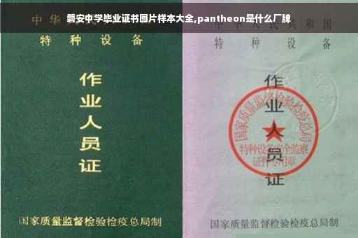 磐安中学毕业证书图片样本大全,pantheon是什么厂牌