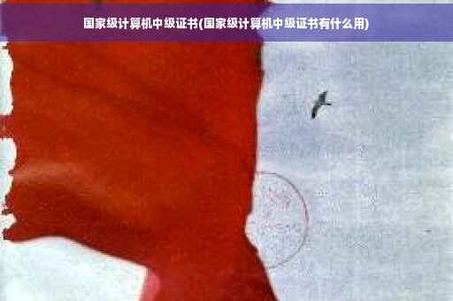 国家级计算机中级证书(国家级计算机中级证书有什么用)