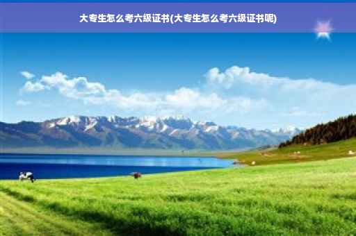 大专生怎么考六级证书(大专生怎么考六级证书呢)