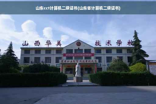 山东cct计算机二级证书(山东省计算机二级证书)