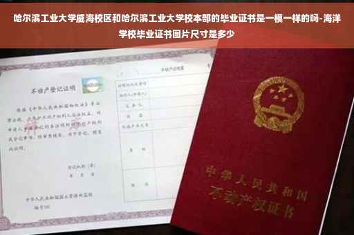 哈尔滨工业大学威海校区和哈尔滨工业大学校本部的毕业证书是一模一样的吗-海洋学校毕业证书图片尺寸是多少 哈尔滨工业大学威海校区和哈尔滨工业大学校本部的毕业证书是一模一样的吗-海洋学校毕业证书图片尺寸是多少