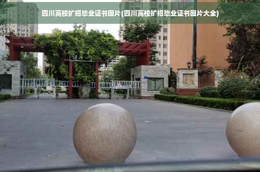 四川高校扩招毕业证书图片(四川高校扩招毕业证书图片大全)