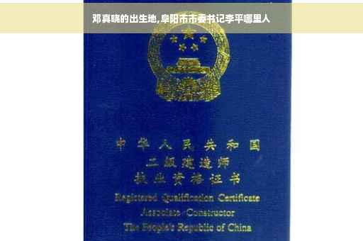 邓真晓的出生地,阜阳市市委书记李平哪里人