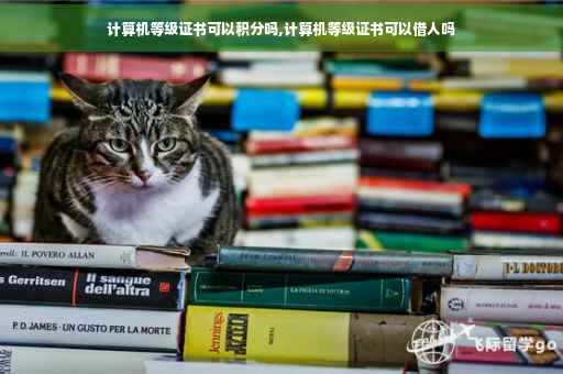 计算机等级证书可以积分吗,计算机等级证书可以借人吗