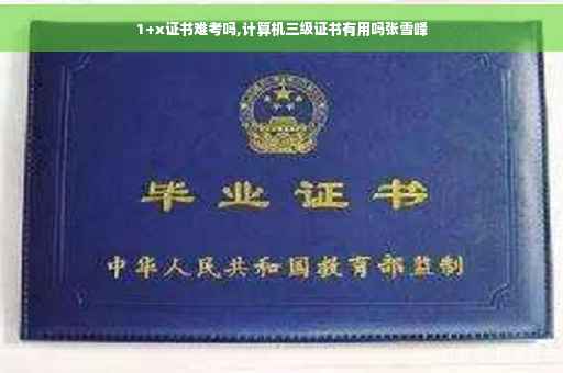 1+x证书难考吗,计算机三级证书有用吗张雪峰
