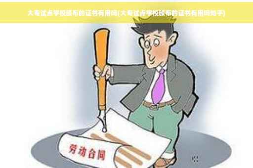 大专试点学校颁布的证书有用吗(大专试点学校颁布的证书有用吗知乎)