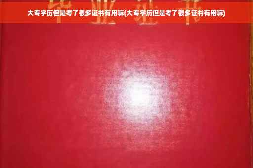大专学历但是考了很多证书有用嘛(大专学历但是考了很多证书有用嘛)
