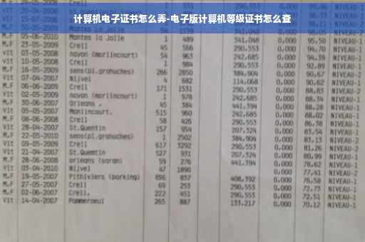 计算机电子证书怎么弄-电子版计算机等级证书怎么查