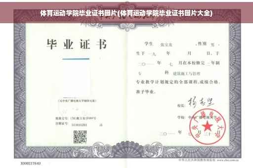 体育运动学院毕业证书图片(体育运动学院毕业证书图片大全)
