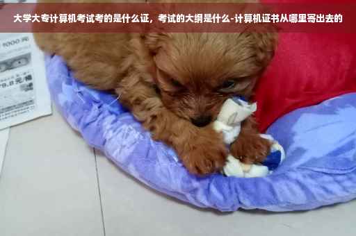 大学大专计算机考试考的是什么证，考试的大纲是什么-计算机证书从哪里寄出去的