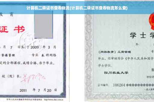 计算机二级证书查看物流(计算机二级证书查看物流怎么查)