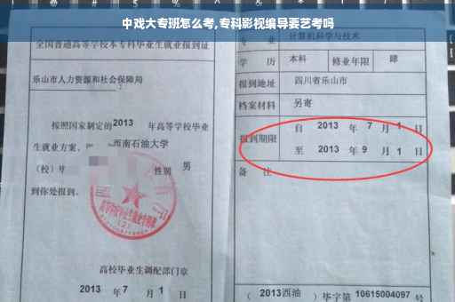 中戏大专班怎么考,专科影视编导要艺考吗
