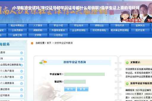 小学有毕业证吗,学位证号和学历证号都什么号码啊?是学生证上面的号码吗