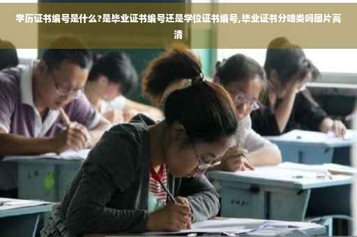 学历证书编号是什么?是毕业证书编号还是学位证书编号,毕业证书分啥类吗图片高清