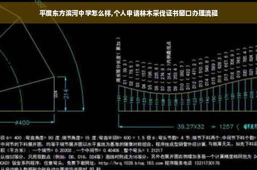 平度东方滨河中学怎么样,个人申请林木采伐证书窗口办理流程