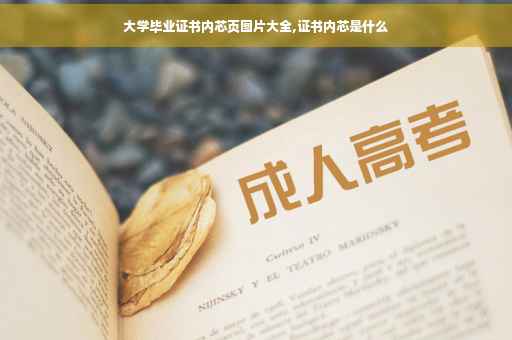 大学毕业证书内芯页图片大全,证书内芯是什么