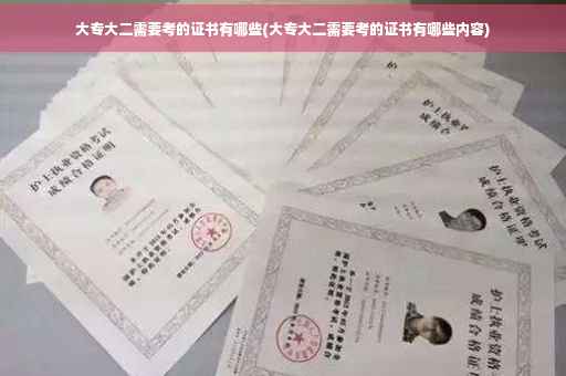 大专大二需要考的证书有哪些(大专大二需要考的证书有哪些内容)