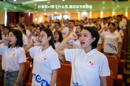 计算机vf能干什么用,数控证书有那些