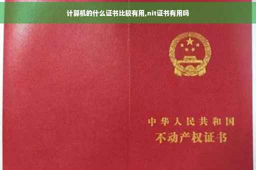 计算机的什么证书比较有用,nit证书有用吗