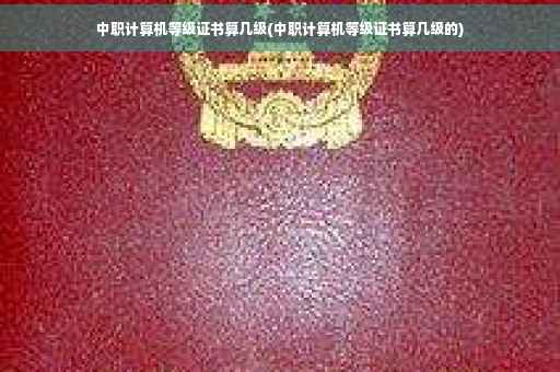 中职计算机等级证书算几级(中职计算机等级证书算几级的) 中职计算机等级证书算几级(中职计算机等级证书算几级的)