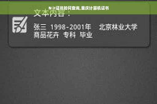 N it证书如何查询,重庆计算机证书