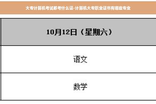 大专计算机考试都考什么证-计算机大专职业证书有哪些专业