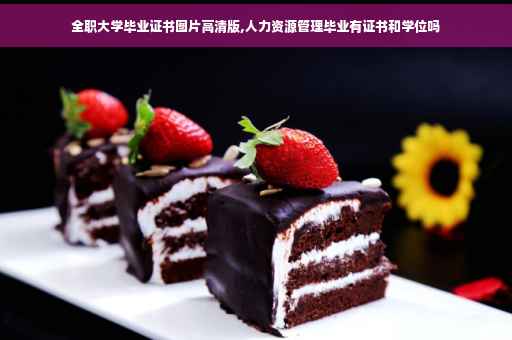全职大学毕业证书图片高清版,人力资源管理毕业有证书和学位吗