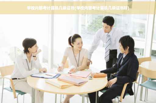 学校内部考计算机几级证书(学校内部考计算机几级证书好)
