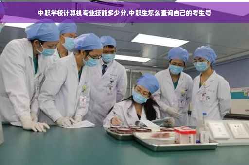 中职学校计算机专业技能多少分,中职生怎么查询自己的考生号