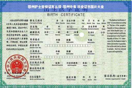 鄂州护士资格证怎么领-鄂州中专 毕业证书图片大全
