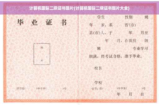计算机国际二级证书图片(计算机国际二级证书图片大全)