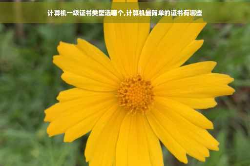 计算机一级证书类型选哪个,计算机最简单的证书有哪些