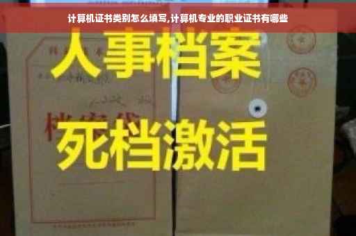 计算机证书类别怎么填写,计算机专业的职业证书有哪些
