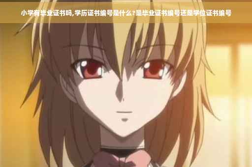 小学有毕业证书吗,学历证书编号是什么?是毕业证书编号还是学位证书编号