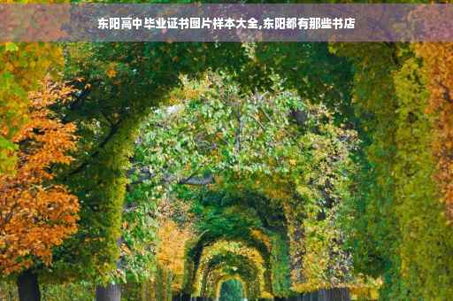 东阳高中毕业证书图片样本大全,东阳都有那些书店