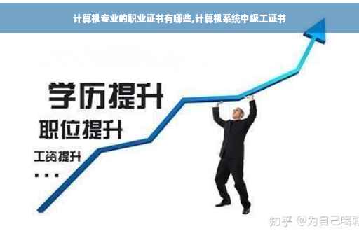 计算机专业的职业证书有哪些,计算机系统中级工证书