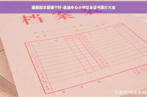 柴窑和汝窑哪个好-邑城中心小学毕业证书图片大全
