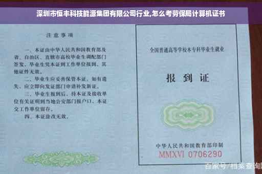 深圳市恒丰科技能源集团有限公司行业,怎么考劳保局计算机证书