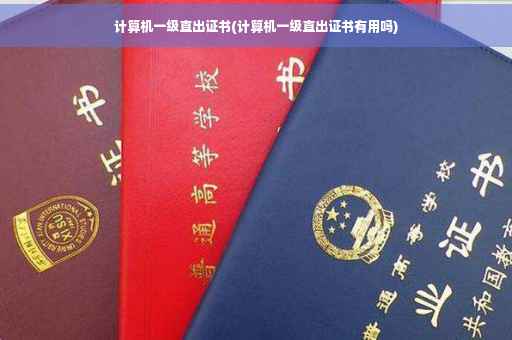 计算机一级直出证书(计算机一级直出证书有用吗)