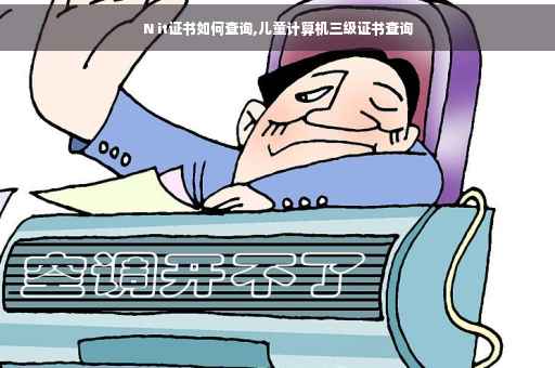 N it证书如何查询,儿童计算机三级证书查询