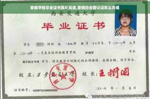 象棋学校毕业证书图片高清,象棋协会登记证怎么办理