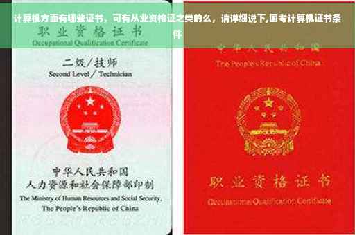 计算机方面有哪些证书，可有从业资格证之类的么，请详细说下,国考计算机证书条件