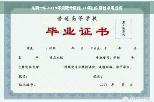 东阿一中2019年录取分数线,21年山东聊城中考成绩