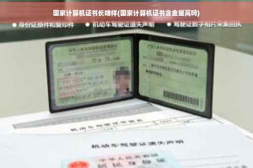 国家计算机证书长啥样(国家计算机证书含金量高吗)