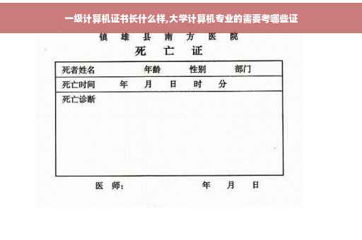 一级计算机证书长什么样,大学计算机专业的需要考哪些证